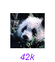 Panda03