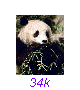 Panda13