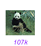 Panda22