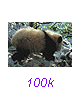 Panda32