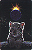 Card261 -- USA