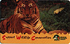 Card85 -- Singapore
