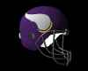 GO Vikings!