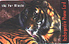 card350  -- Japan